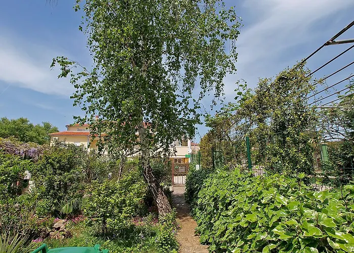 Apartment Damir 864 *